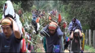 LOS FLOREROS DE CHIAPA DE CORZO La flor de NiluyarìluGIOVANNA NUÑEZ [upl. by Emyle]