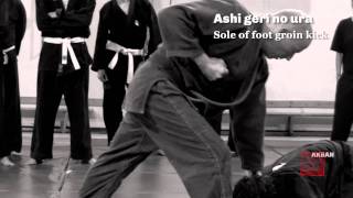 Ninjutsu kicks Interactive  AKBAN Academy [upl. by Atekihc]