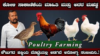 ನಾಟಿ ಕೋಳಿ ಸಾಕಬೇಕಾ ಮೊದಲು ಈ ವೀಡಿಯೊ ನೋಡಿ  how to start nati koli farm in Karnataka farming in Kannada [upl. by Kidder]