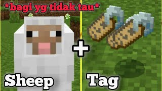 Sheep  Tag bagi yg tidak tau Apa yang bakal terjadi [upl. by Huntlee]