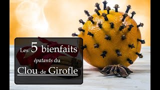 Bienfaits du Clou de Girofle pour la santé [upl. by Ateloiv]