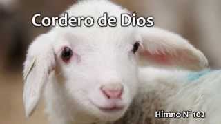 Cordero de Dios Himno N° 102 [upl. by Woolcott]