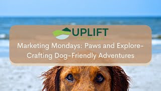 Marketing Mondays Paws and Explore Crafting DogFriendly Adventures [upl. by Ahsa896]