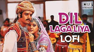 Dil Laga Liya Maine  Lofi Mix  Dil Hai Tumhaara  Alka Yagnik Udit Narayan Preity amp Arjun Rampal [upl. by Chouest]