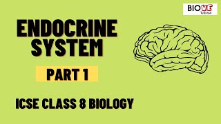 Endocrine System  Part 1  ICSE Class 8 Biology [upl. by Ahsa]