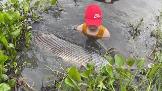 Unbelievable fish trap with octopus to catch river monsters [upl. by Jeramey]