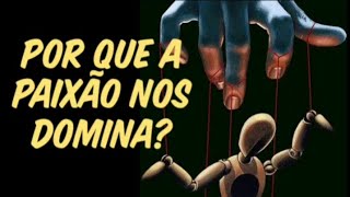 POR QUE A PAIXÃO NOS DOMINA Bioquímica neurotransmissores cérebro evolução e instinto humano [upl. by Aztinaj]