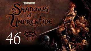 Neverwinter Nights Shadows of Undrentide  46  Some Light Reading [upl. by Glyn]