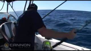 BLA  Cannon Downriggers  Live Baiting for Marlin in Port Stephens New South Wales [upl. by Ayenat199]