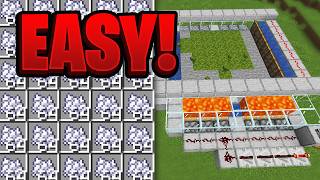 Minecraft 121 Easy BONE MEAL Farm Tutorial [upl. by Kavanaugh]