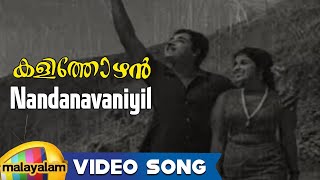 Kalithozhan Movie Songs  Nandanavaniyil Song  Prem Nazir Sheela [upl. by Eitsim]