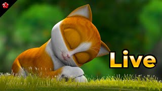 🔴 LIVE STREAM 🐮 കാത്തു 🐶 ബാനു ബബ്‌ലു 🐰 Malayalam Cartoon Live for Kids [upl. by Anayd]