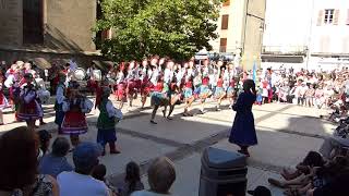 FETE DE MENDE 2017  Corso fleuri 13 [upl. by Haldis]