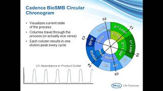 Practical Aspects of Implementing Continuous Bioprocessing [upl. by Chaves354]