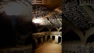 The Catacombs of Paris Uncovering the Secrets of the Dead shorts [upl. by Gnouv]