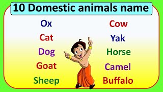 10 domestic animal name english 10 domestic animals ke name domestic animals name 10 pet animals [upl. by Esidarap]