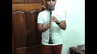 Consecuencia de mis actos clarinete [upl. by Arin]