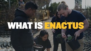 What is Enactus [upl. by Peer]