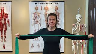 7Point Posture Program Exercises 4 amp 5 Strengthening the Rhomboids [upl. by Ferdinana531]