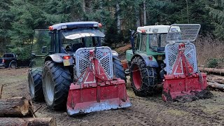 🌲Käferjagd hat begonnen🌲Forstarbeit Extrem  Lamborghini amp Tajfun [upl. by Aniez]