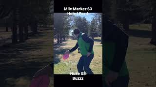 Disc Golf at Mile Marker 63 Hole 1 discgolf dog [upl. by Von]