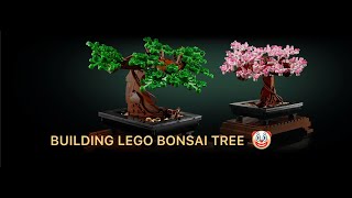 LEGO Bonsai Tree Build Part 1  Voice over by my Sister [upl. by Spense]