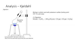 Kjeldahl analysis of nitrogen [upl. by Ahsena]