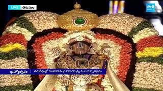 Tirumala Brahmotsavam 2024  TTD Rathotsavam 2024 SakshiTV [upl. by Woodward723]