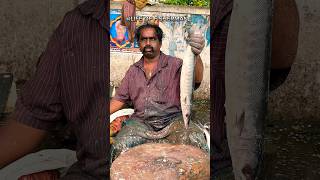 KASIMEDU🔥KUMAR BARRACUDA FISH CUTTING VIDEOkasimedufishctting fishcutting fishcuttingvideo [upl. by Janus]