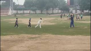 How to do catching practice cricket cricketlover catch [upl. by Harlie]