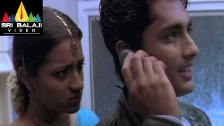 Nuvvostanante Nenoddantana Movie Dog Comedy  Siddharth Trisha  Sri Balaji Video [upl. by Ahtibbat447]