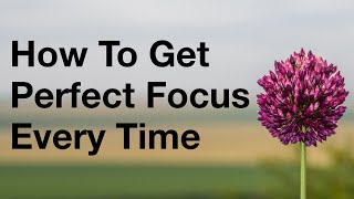 How To Get Perfect Focus On Your Camera Every Time [upl. by Enaj788]