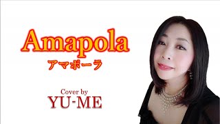 Amapolaアマポーラ ／ José Lacalle（1924年） Covered by YUME [upl. by Jarek]