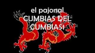 EL PAJONAL CUMBIAS DEL CUMBIAS1 [upl. by Reivazx]