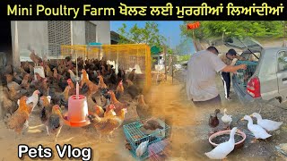 Mini Poultry Farm ਖੋਲਣ ਲਈ ਮੁਰਗੀਆਂ ਲਿਆਂਦੀਆਂ ਆਪਾਂ ❤️ Laila Majnu ਚਲੇ ਗਏ 🦆  poultry [upl. by Arbua]