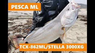 PESCA DE CORVINA XL [upl. by Anglo389]