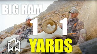 101 yard shot on a BIG RAM [upl. by Nawak544]