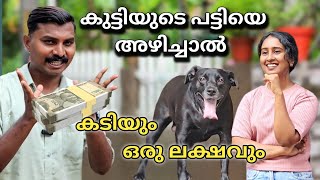 പട്ടി കടിച്ചാൽ ഒരു ലക്ഷം പോകും Dog challenge leash talks [upl. by Hailey]