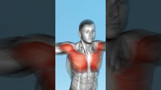 Top 5 Chest Exercises using Cable 💪🔥 [upl. by Ravi664]