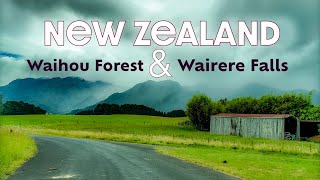 Driving to Waihou Forest And Wairere Falls from Matamata  New Zealand [upl. by Ynhoj]