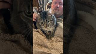 😆 Knead the Biscuit shorts cat kneading rescuekitten appalachiashomesteadwithpatara [upl. by Hussein]