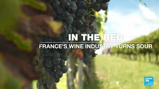 In the red Frances wine industry turns sour • FRANCE 24 English [upl. by Eadmund533]