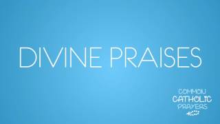 The Divine Praises English [upl. by Lubbock805]