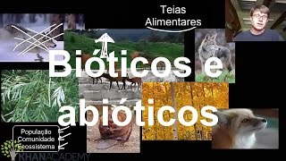 Bióticos e abióticos  Ecologia  Biologia  Khan Academy [upl. by Vaden]