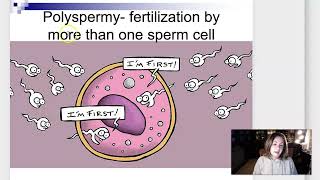 Week 3 Lecture Part 1 Fertilization and Implantation [upl. by Bollay]