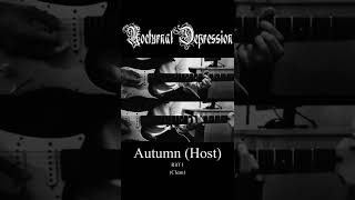 Nocturnal Depression  Host Guitar Riffs shorts blackmetal dsbm [upl. by Ahusoj940]