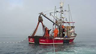 Commercial Fishing in Chignik Bay  ASTEs iDidaContest Submission [upl. by Canice816]