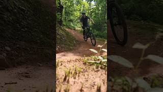 Single track at Brookvale Nordic Bike Park PEI [upl. by Remmos623]