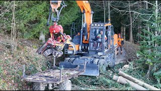 Bagger mit Prozessor beim Holz 🇨🇭🪓🌲 an der Seilbahn mit Forstunternehmen Bernet amp Mathys Teil 3 [upl. by Yaffit896]