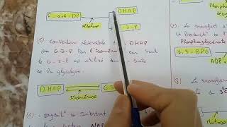 cour N°2 biochimie microbienne la glycolyse L3 [upl. by Hgielrebmik]